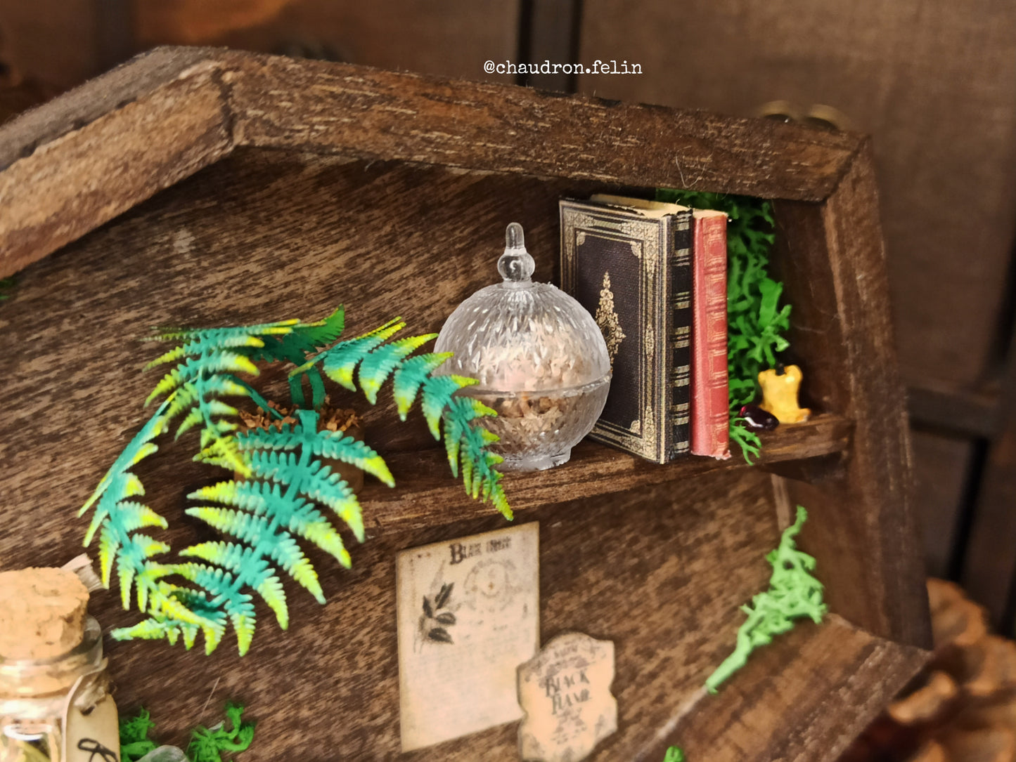 Boite Fantastique Samhain - Sablier, Araignée et Grenat