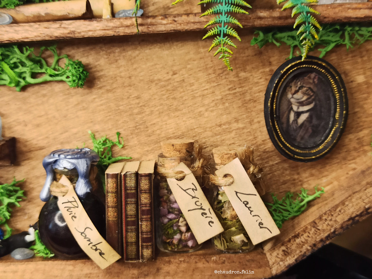 Boite Fantastique Samhain - Chats, Triple Lune et Aigue-Marine