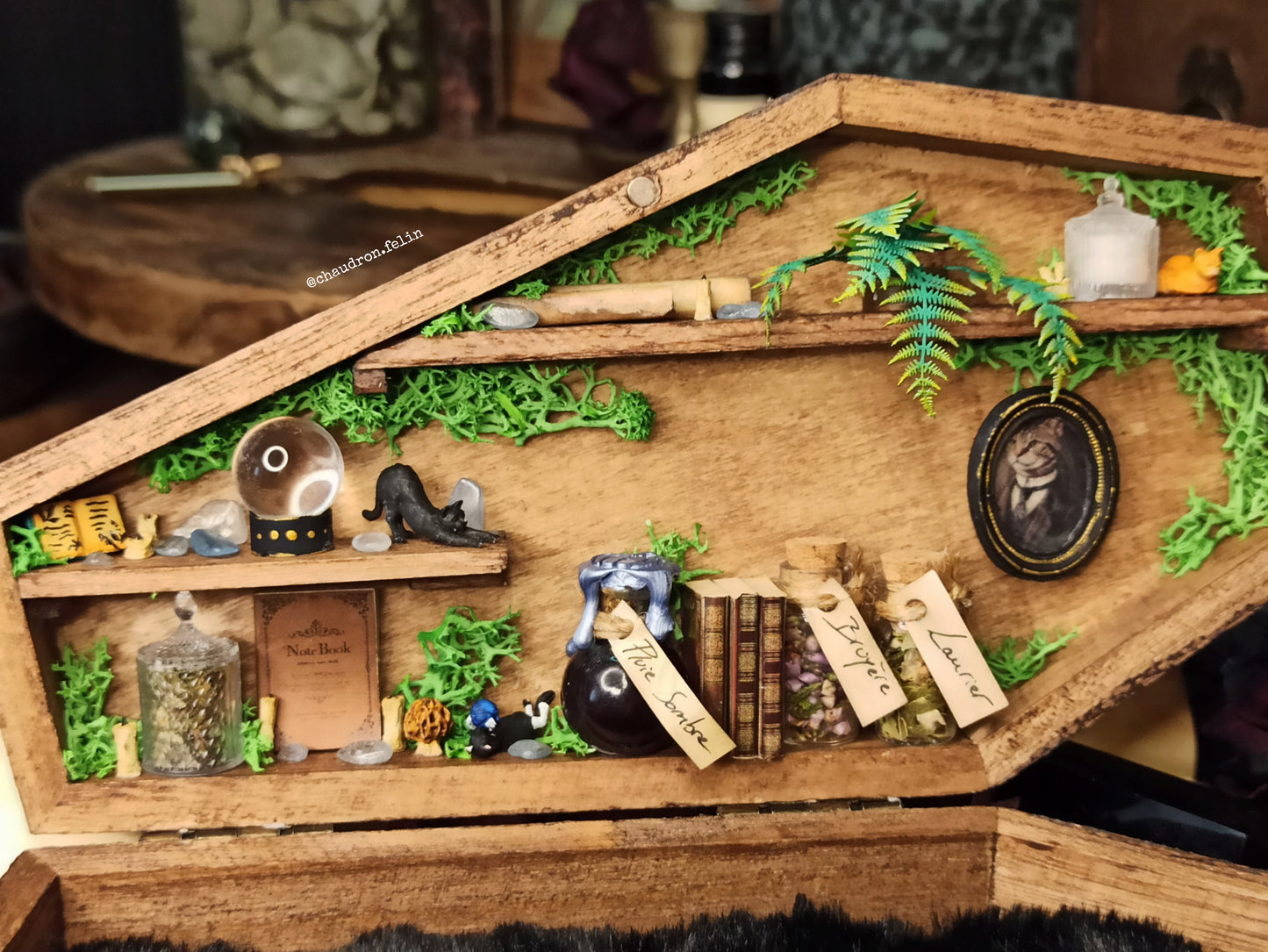 Boite Fantastique Samhain - Chats, Triple Lune et Aigue-Marine