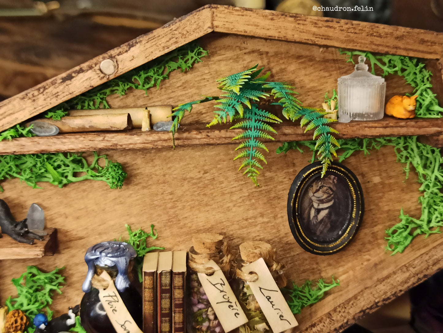 Boite Fantastique Samhain - Chats, Triple Lune et Aigue-Marine