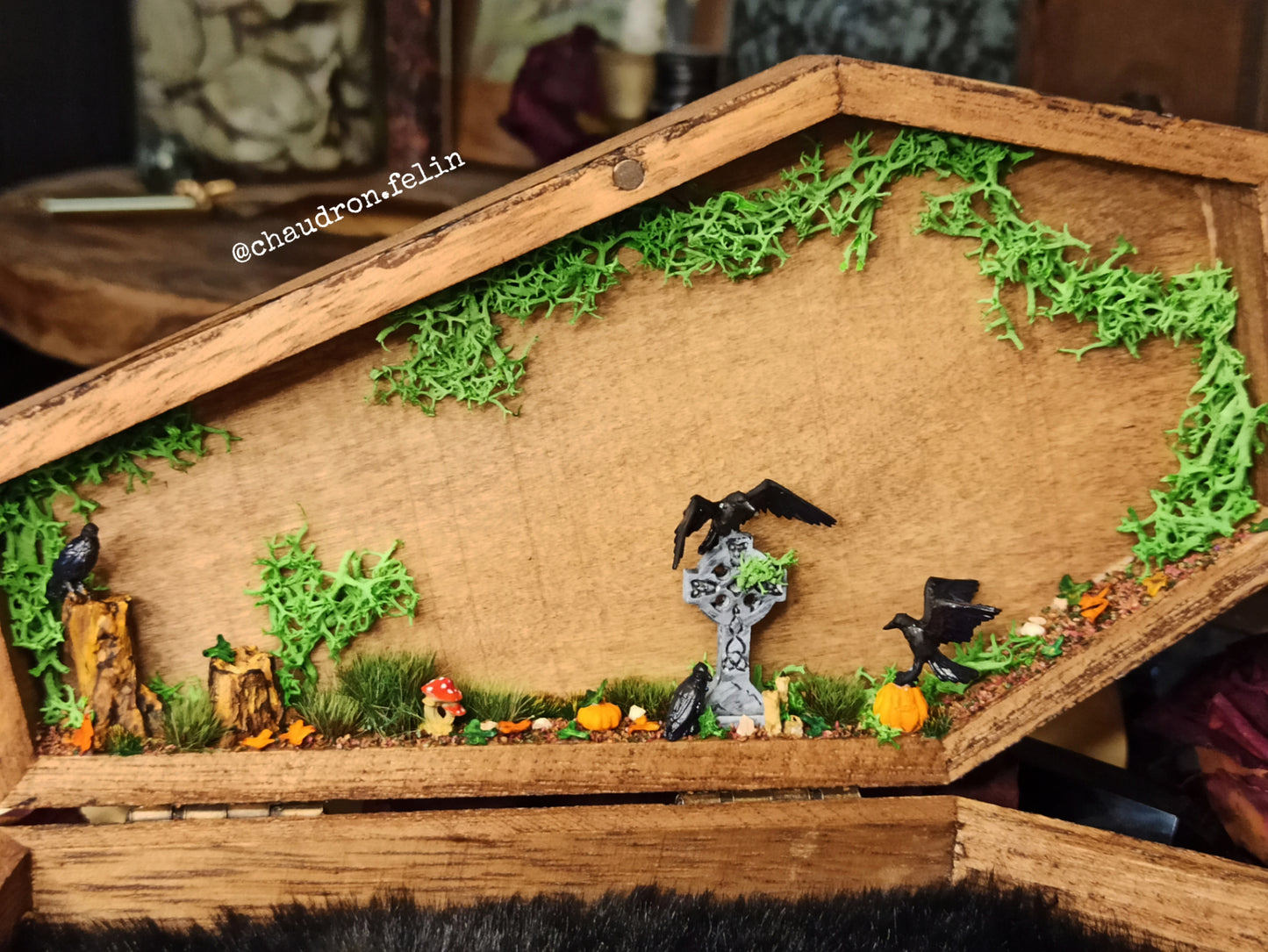 Boite Fantastique Samhain - La Tombe protégée