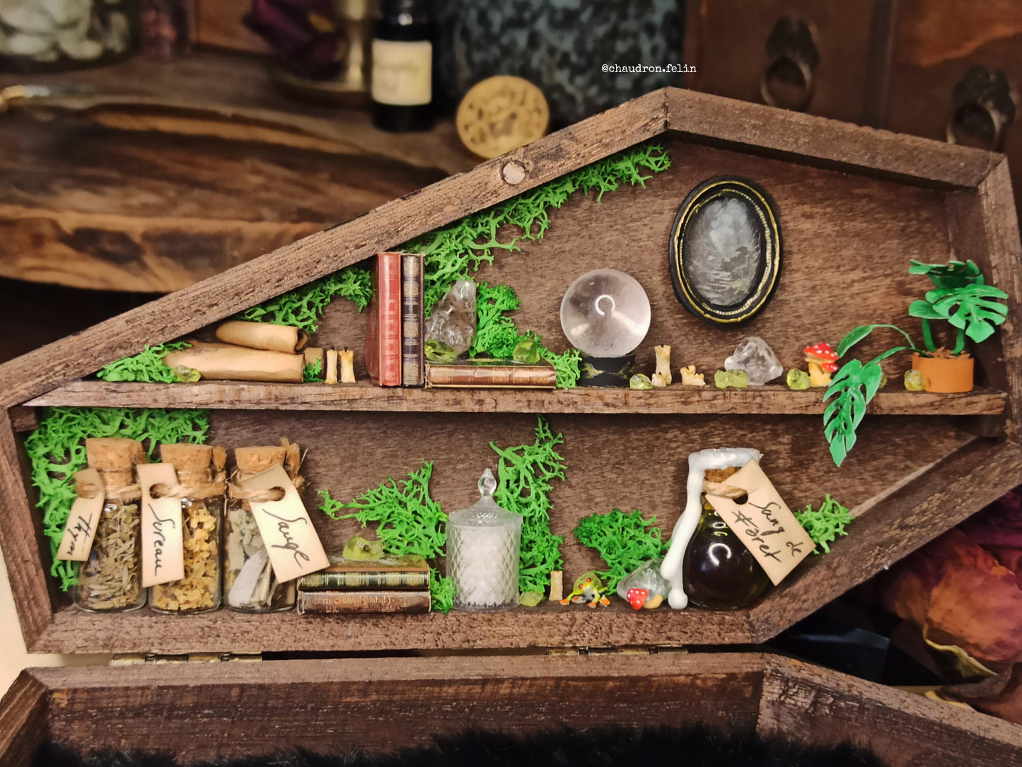 Boite Fantastique Samhain - Grimoire, Grenouille et Péridot