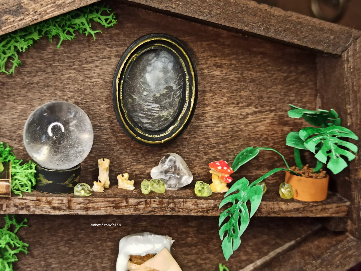 Boite Fantastique Samhain - Grimoire, Grenouille et Péridot
