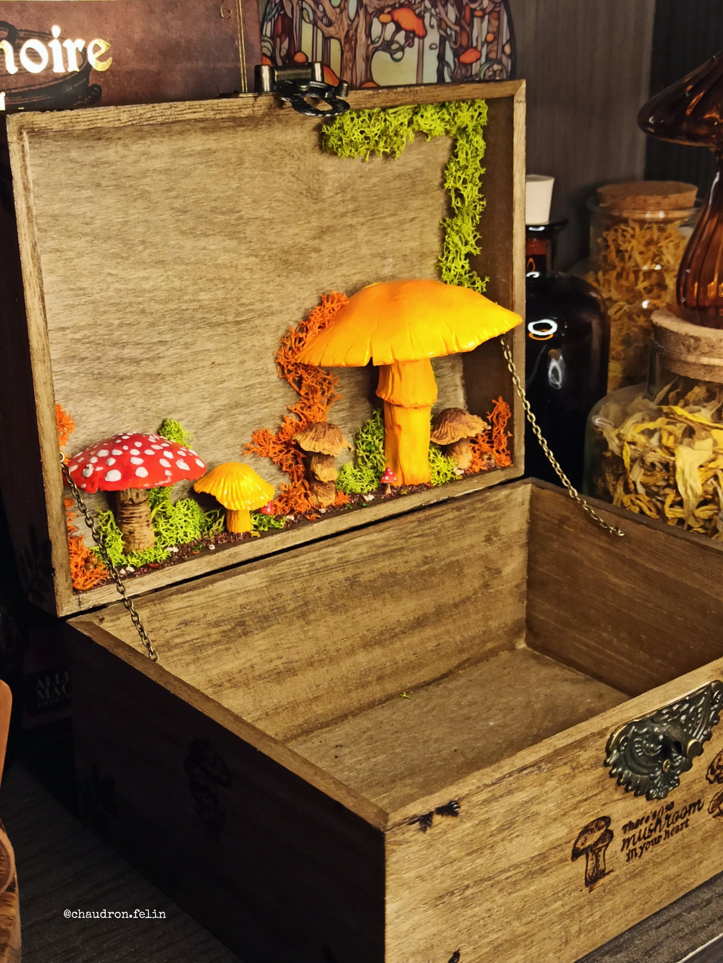 Boite Fantastique - Champignons Géants