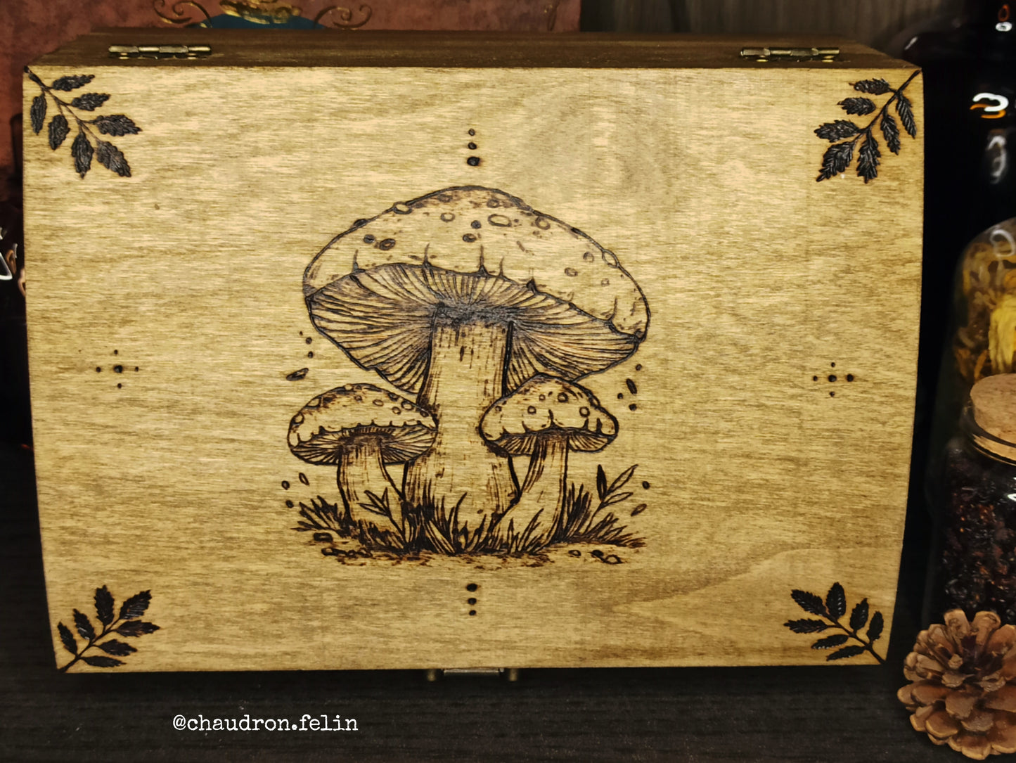 Boite Fantastique - Champignons Géants