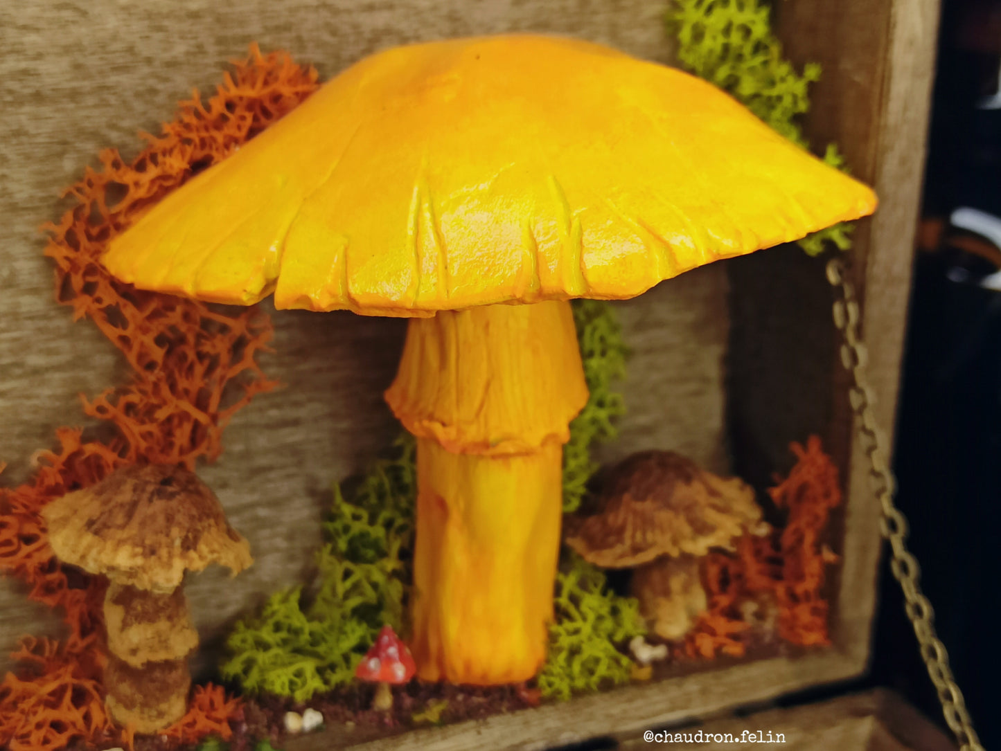 Boite Fantastique - Champignons Géants