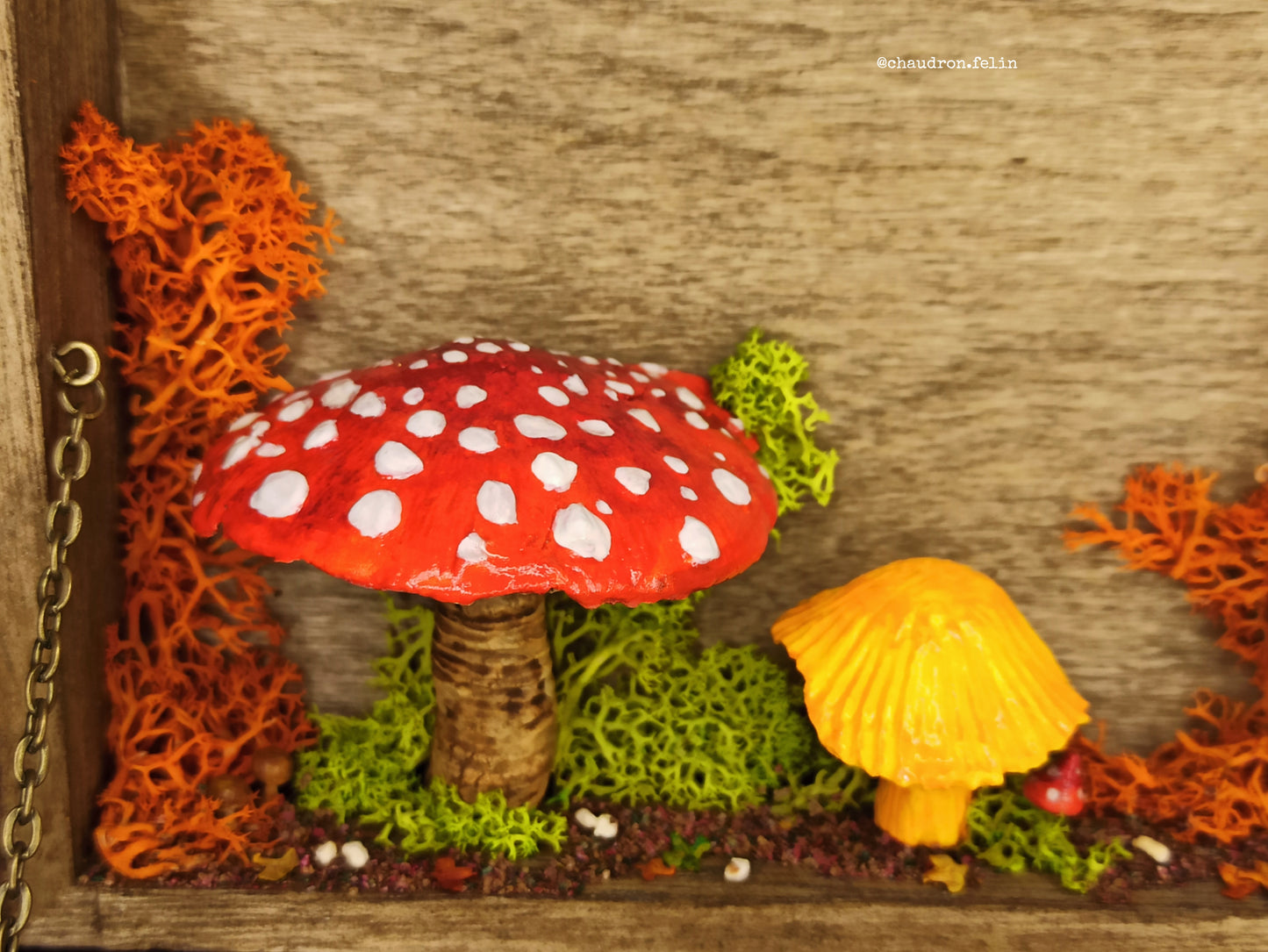 Boite Fantastique - Champignons Géants