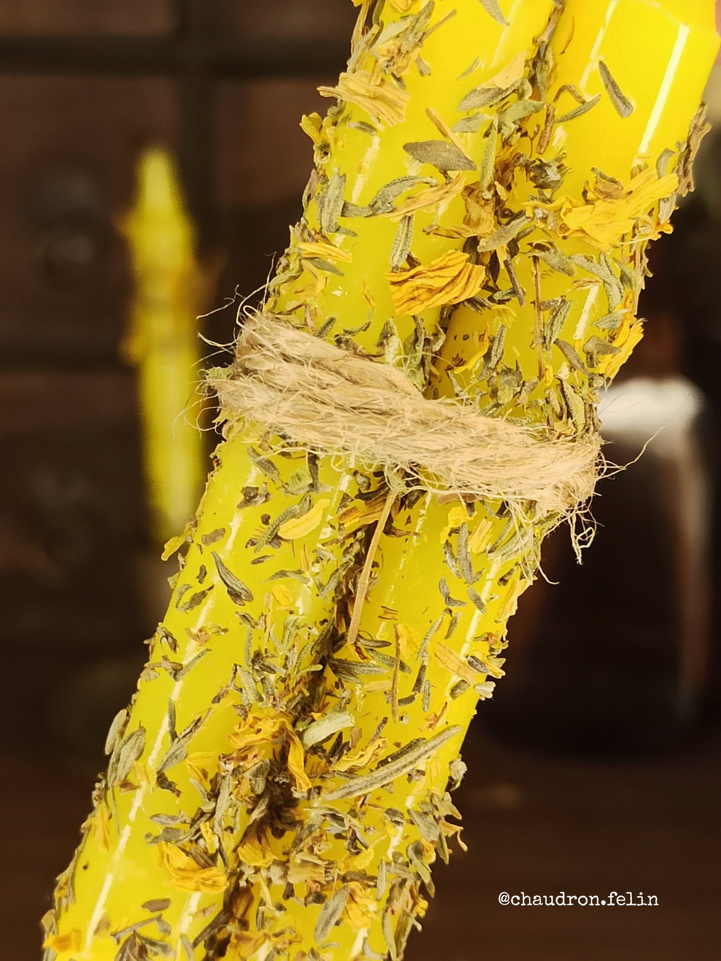 Bougies Rituelles Jaunes de Créativité