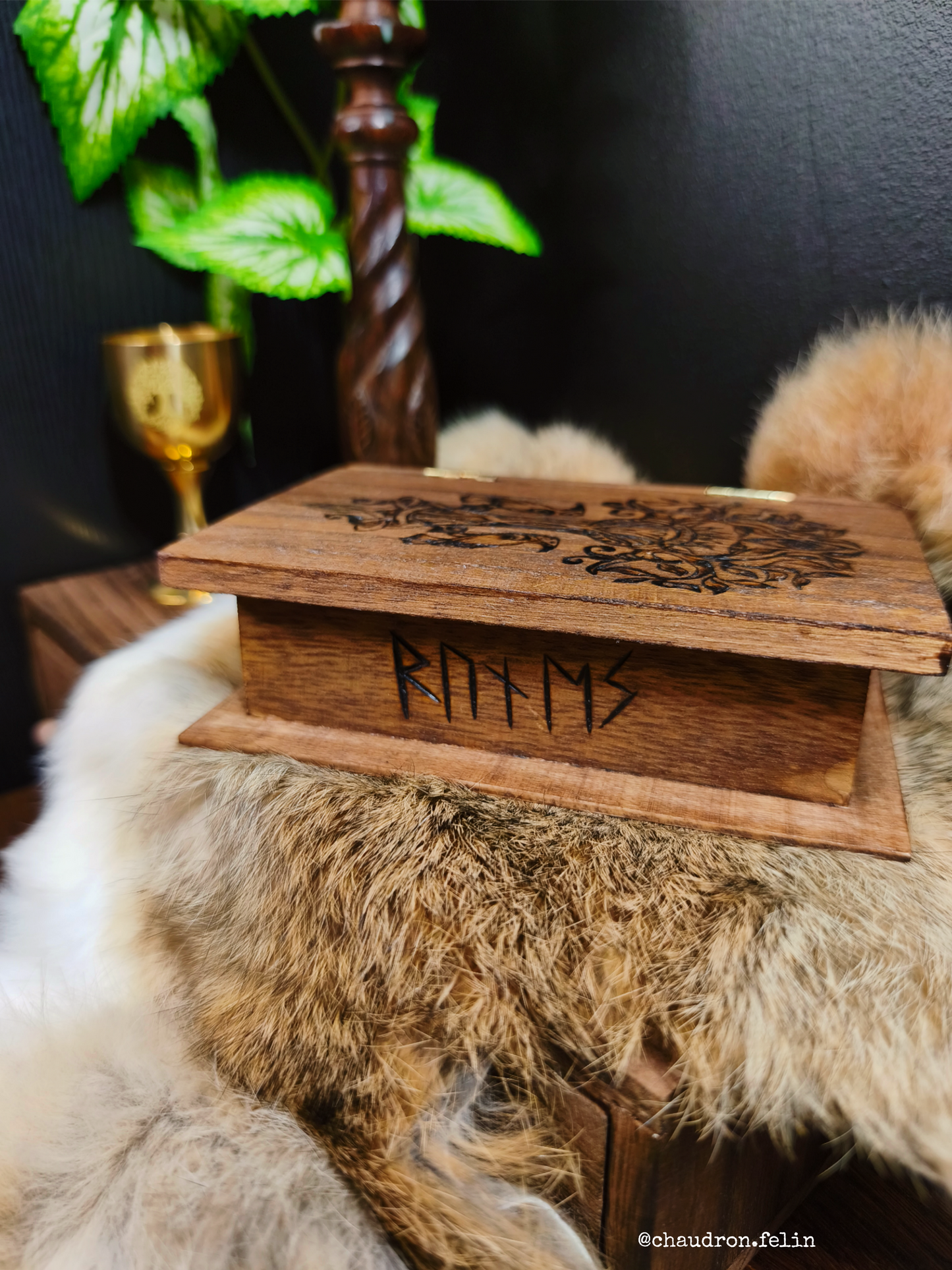 Coffret Runes Futhark Yggdrasil et Onyx