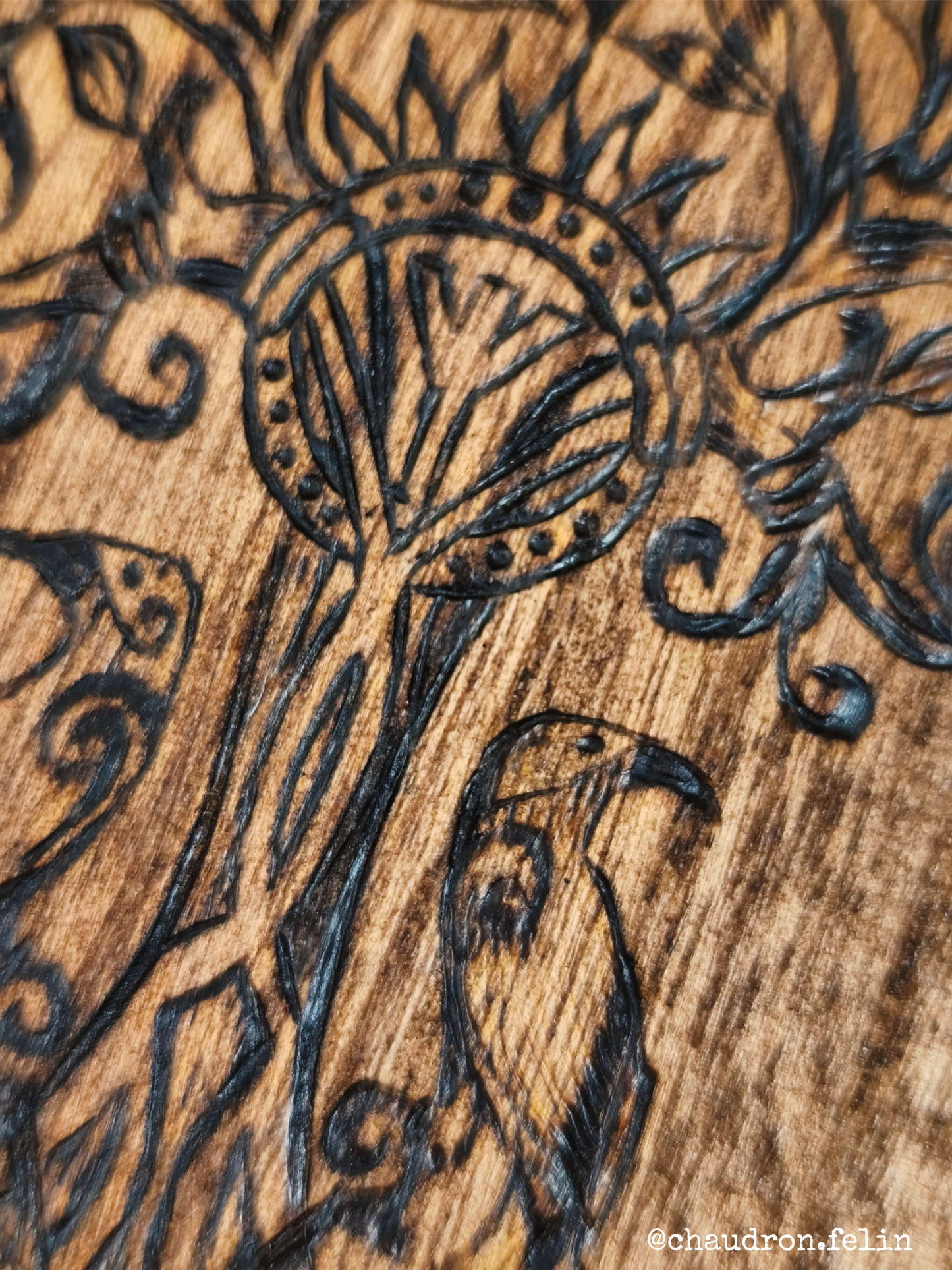 Coffret Runes Futhark Yggdrasil et Onyx