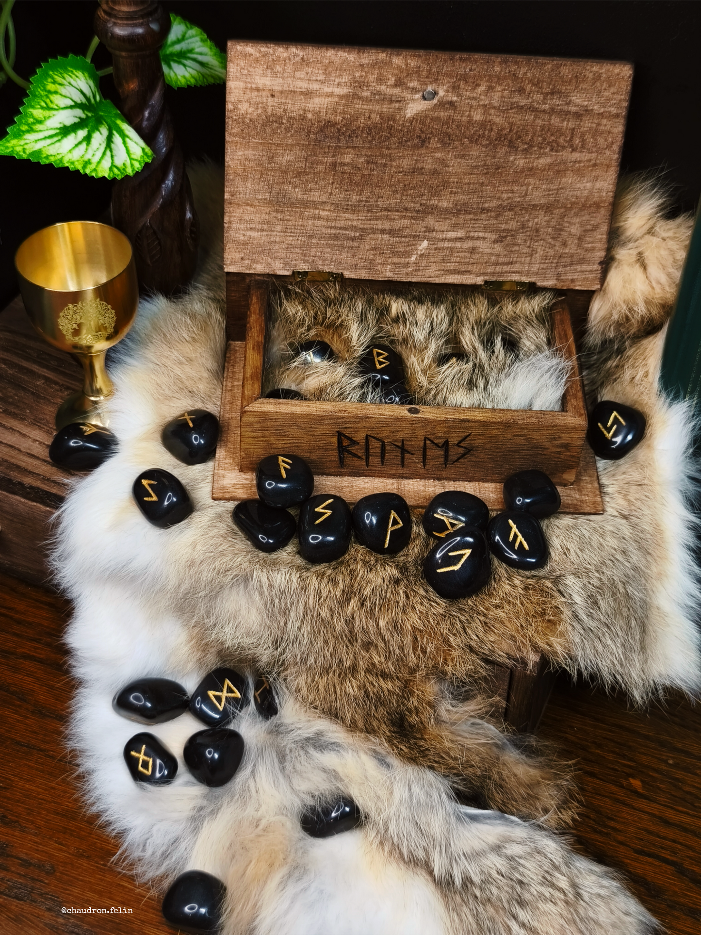 Coffret Runes Futhark Yggdrasil et Onyx