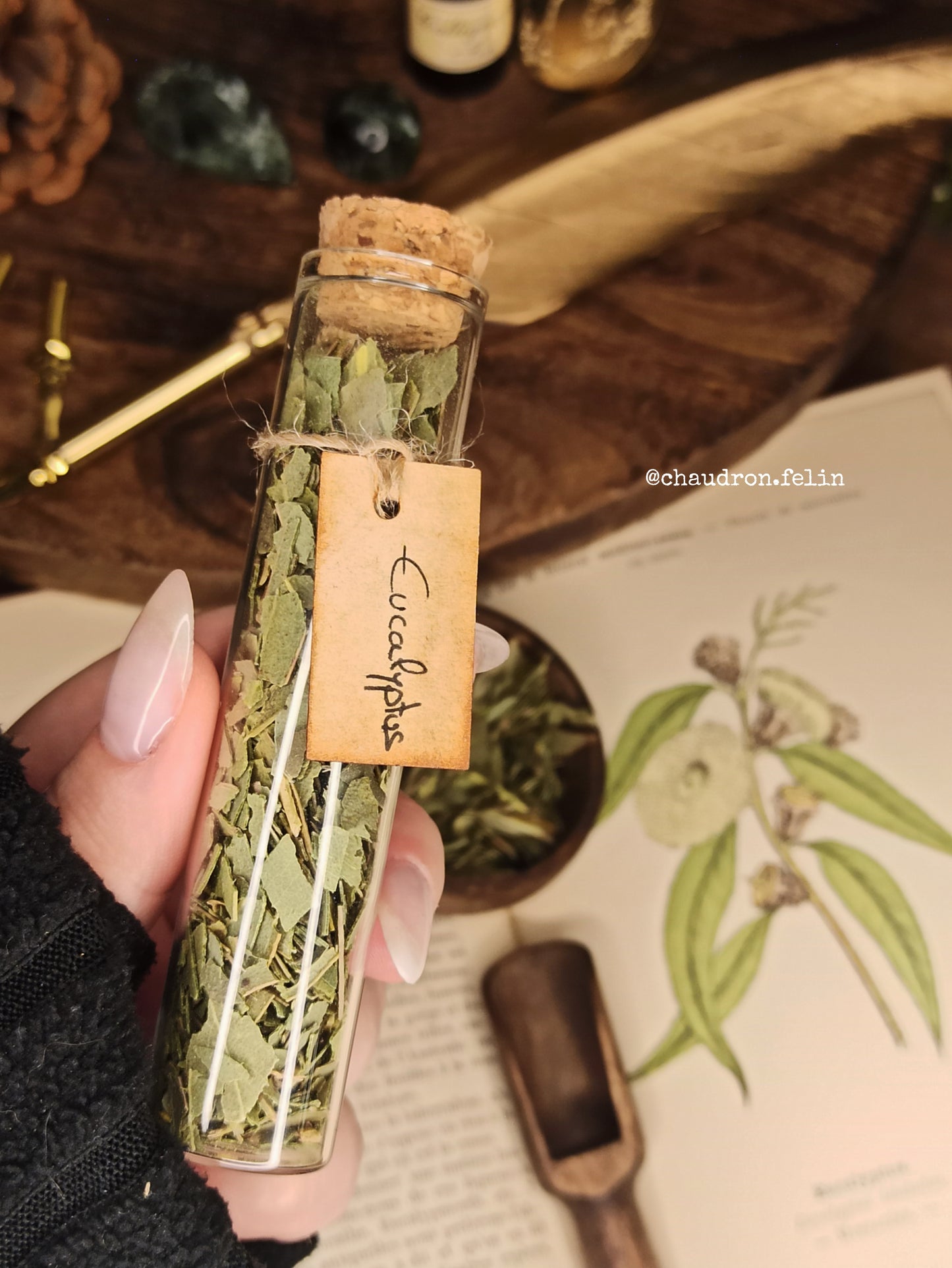 Fiole d'Eucalyptus