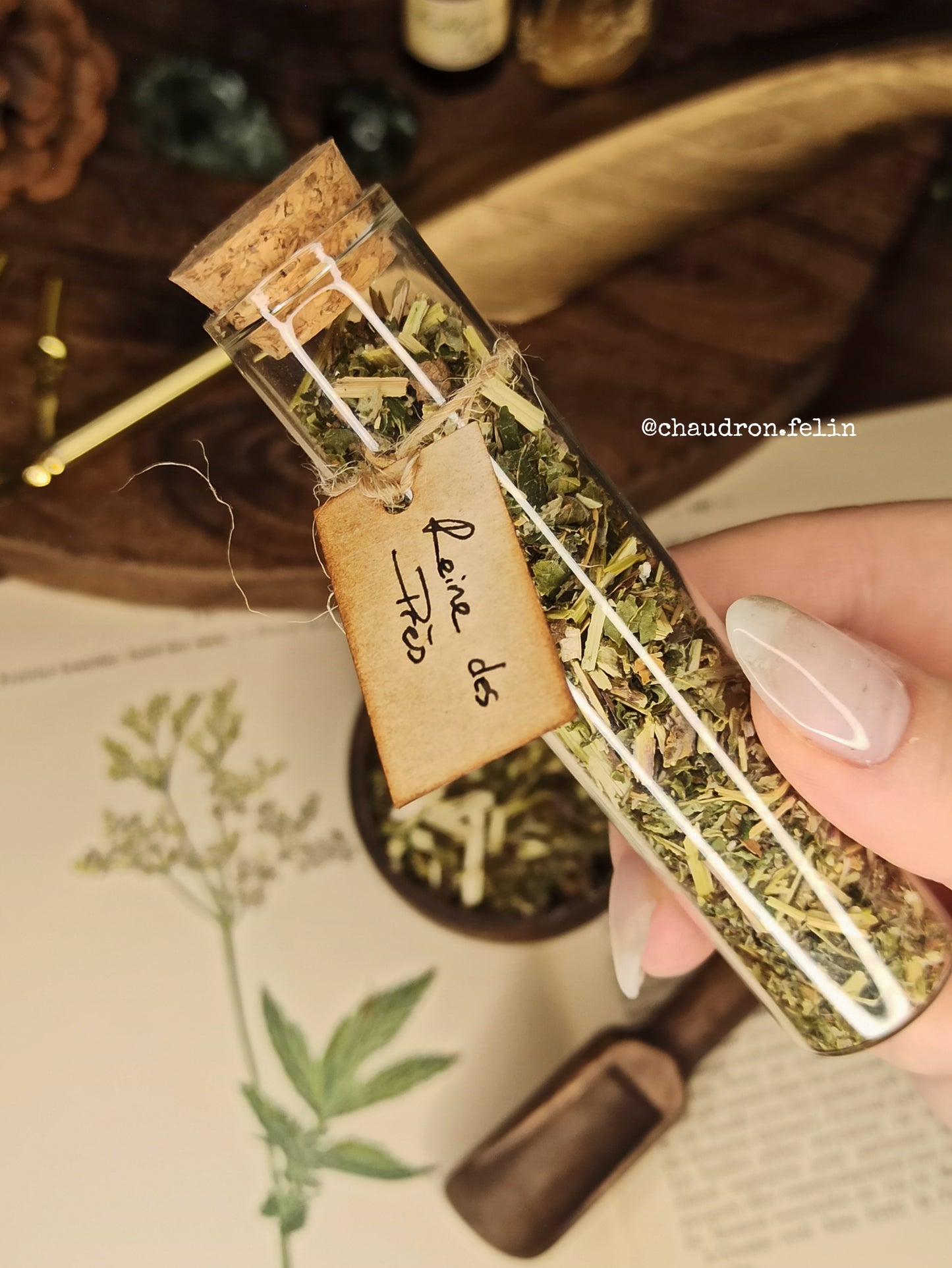 Fiole de Reine des Près