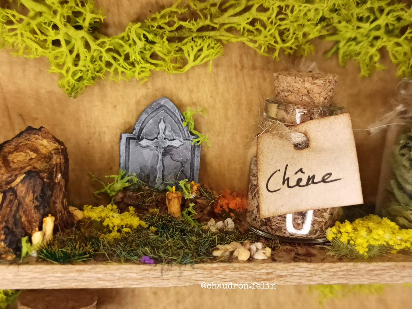 Herboristerie Fantastique "Arche en Pierre et Obsidienne"