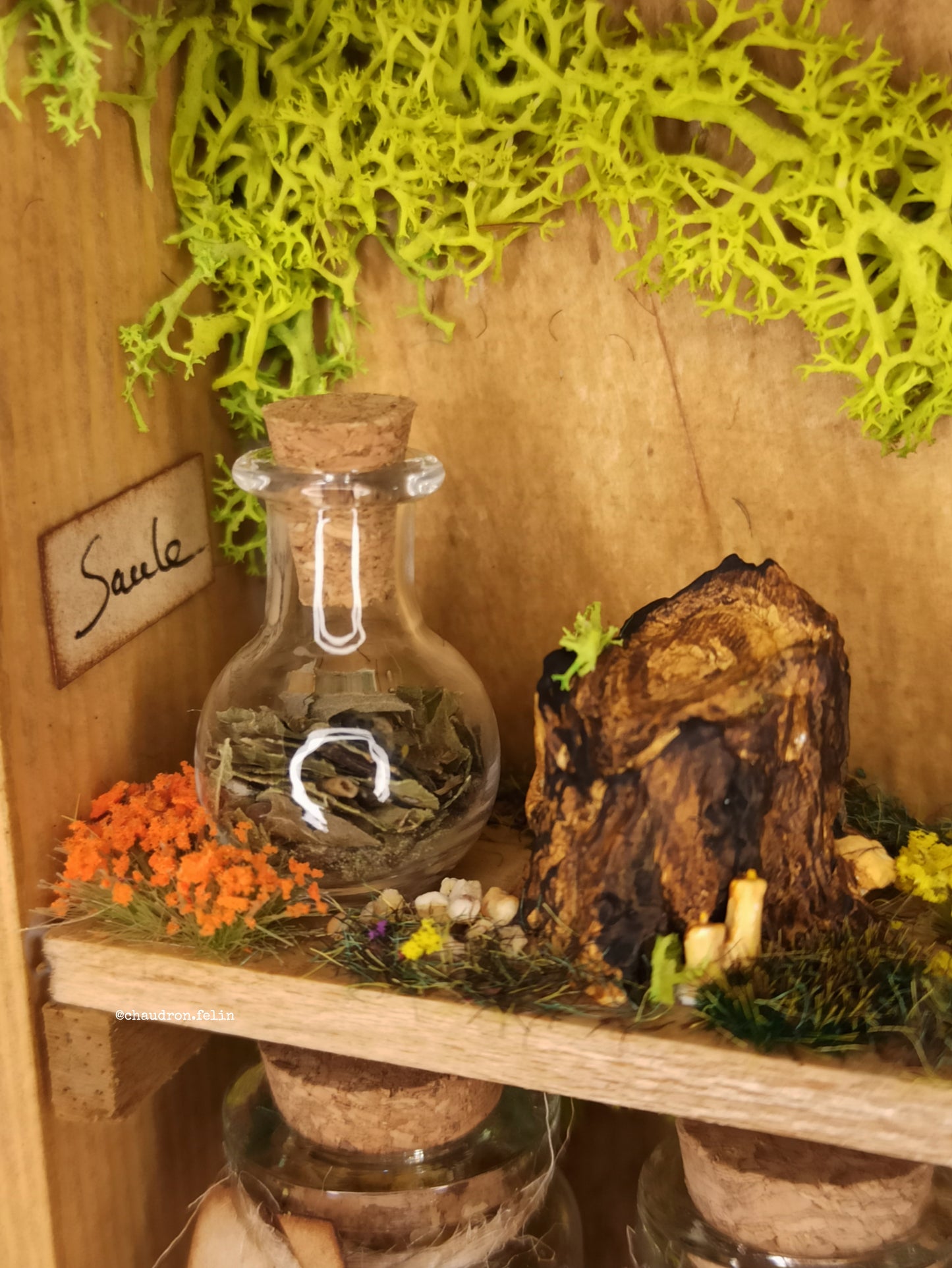 Herboristerie Fantastique "Arche en Pierre et Obsidienne"