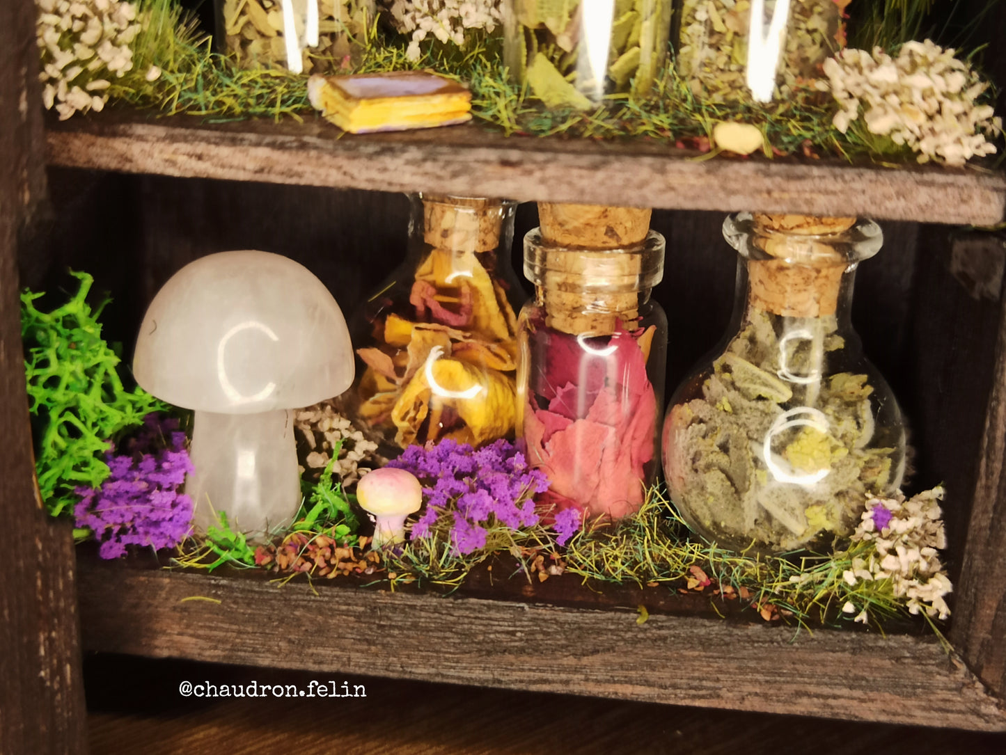 Petite Herboristerie Fantastique "Romantic Witch"