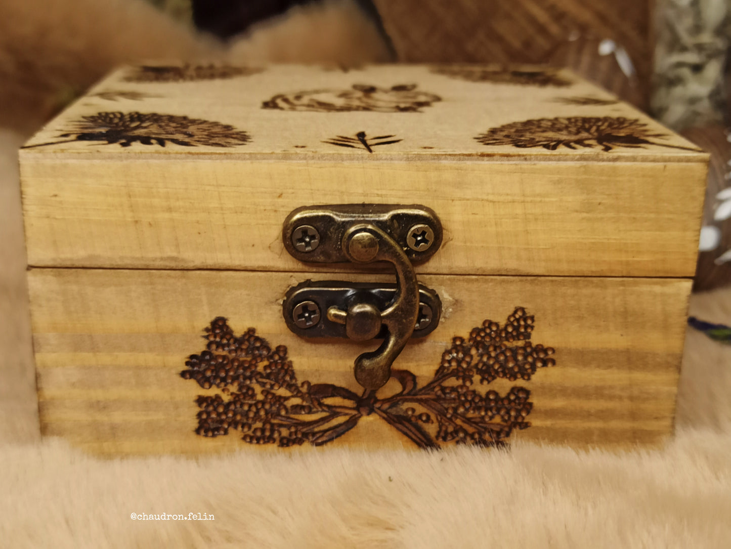 Boite Fantastique - De beaux Pissenlits