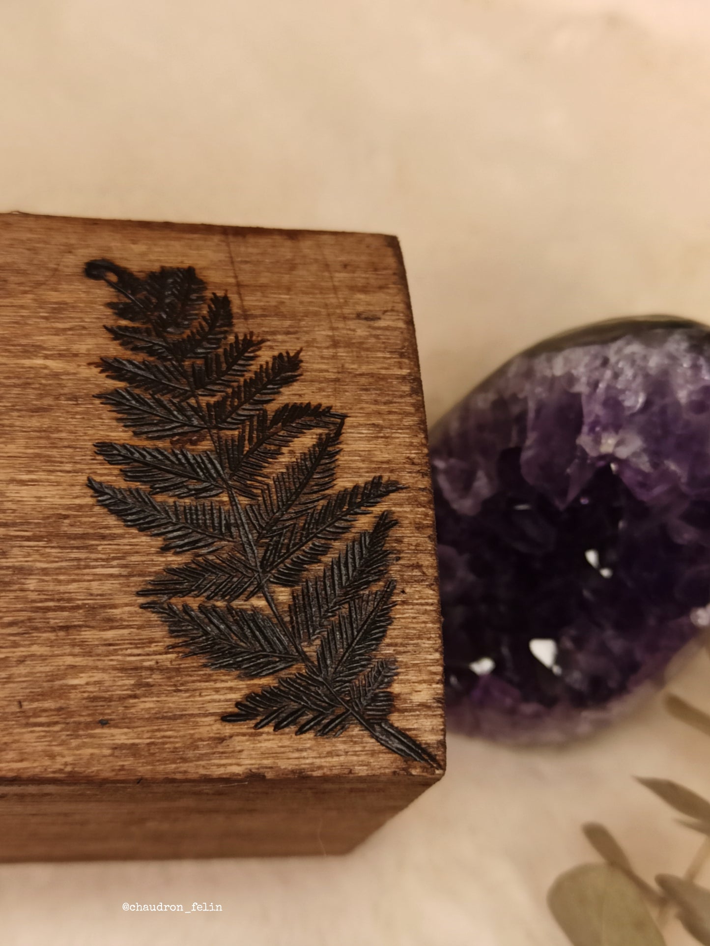 Coffret Runes Divinatoires Fougères et Améthyste