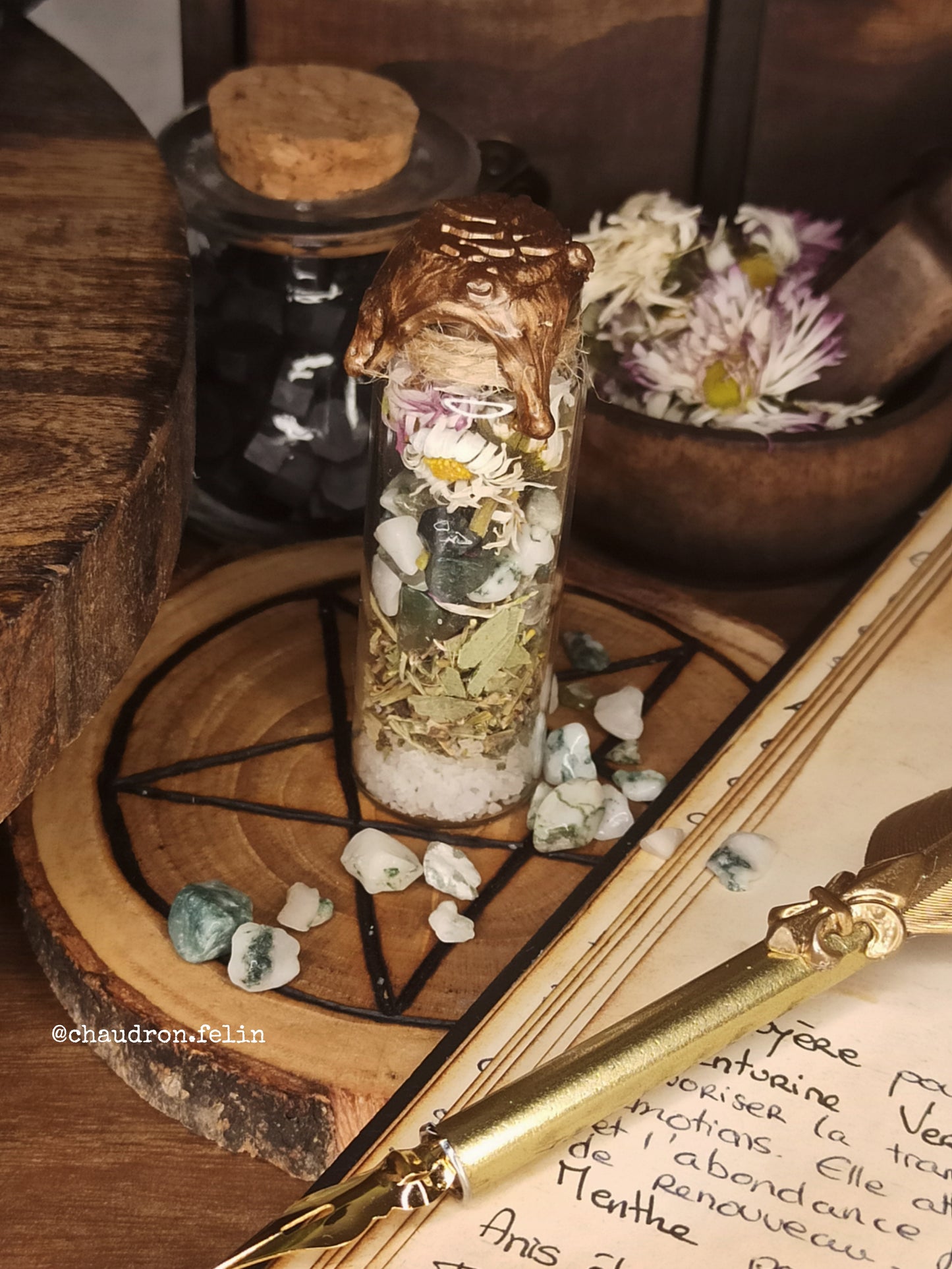 Spell Jar de Protection Animale