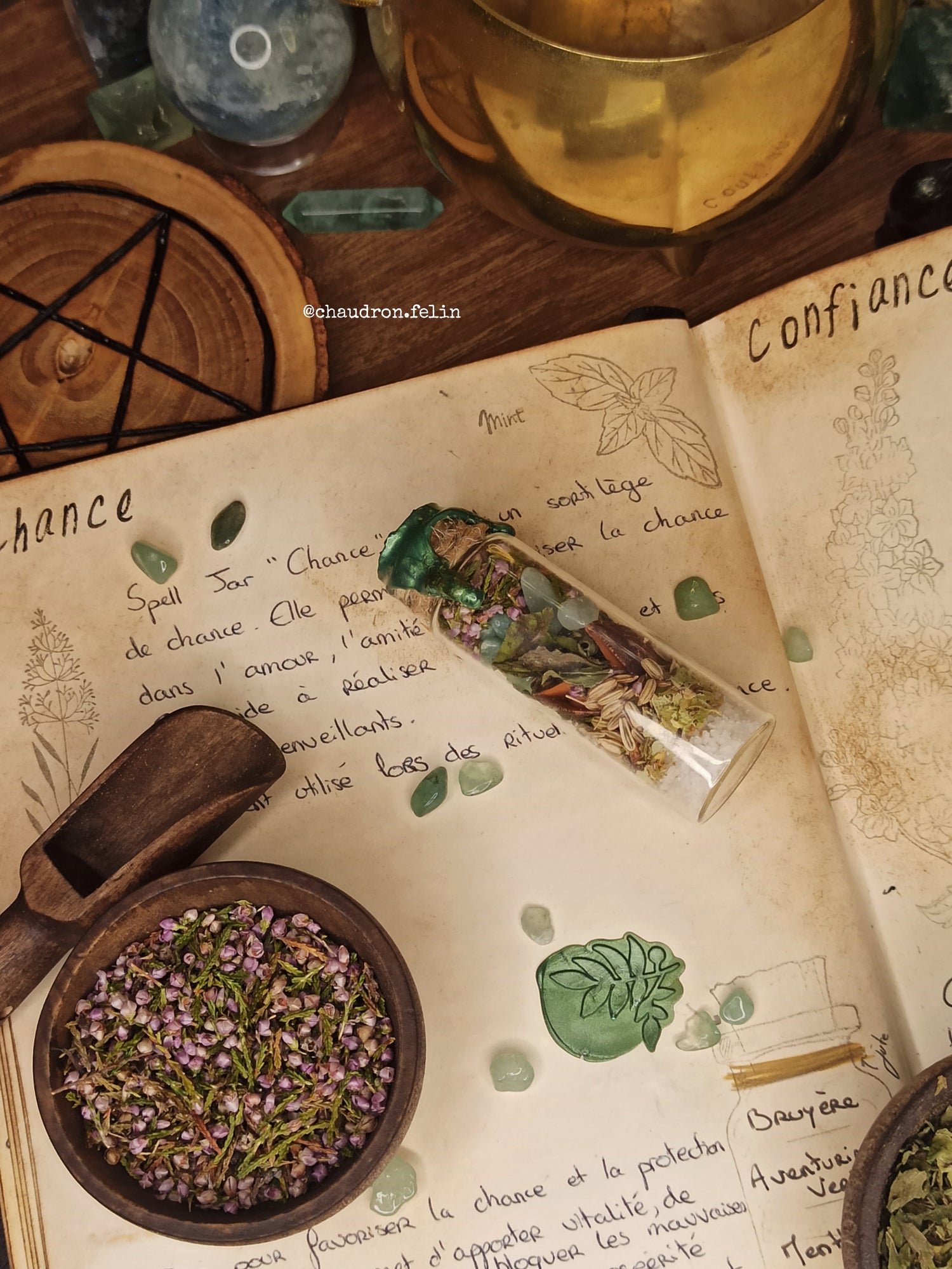 Spell Jar - Bouteille de Sorcière
