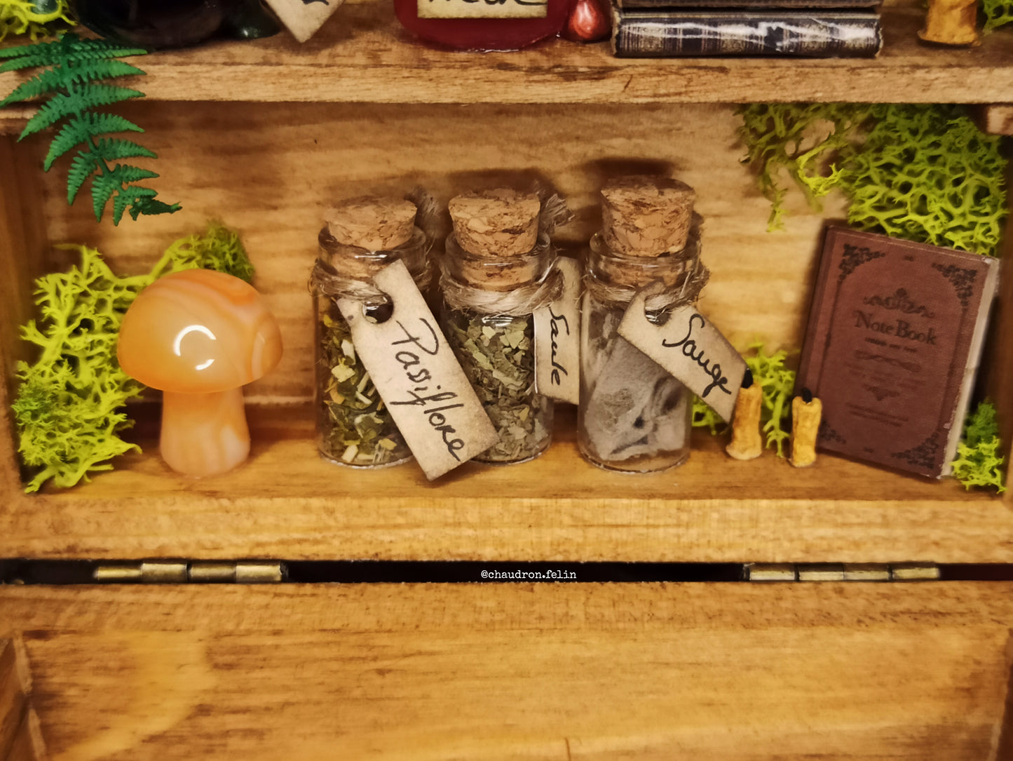 Boite Fantastique - L'atelier de la Tortionnaire