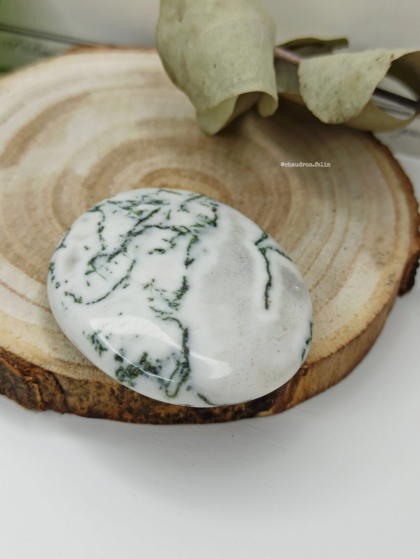 Galet en Agate Arbre - Blanc