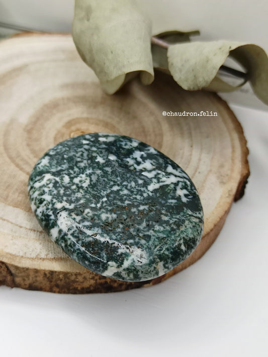 Galet en Agate Arbre - Vert