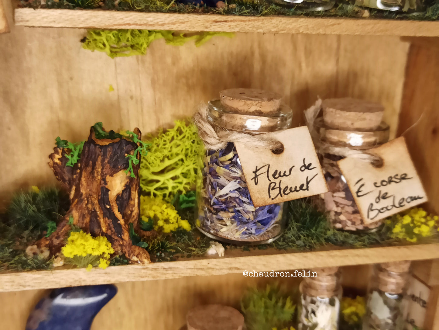 Herboristerie Fantastique "Antique et Sodalite"
