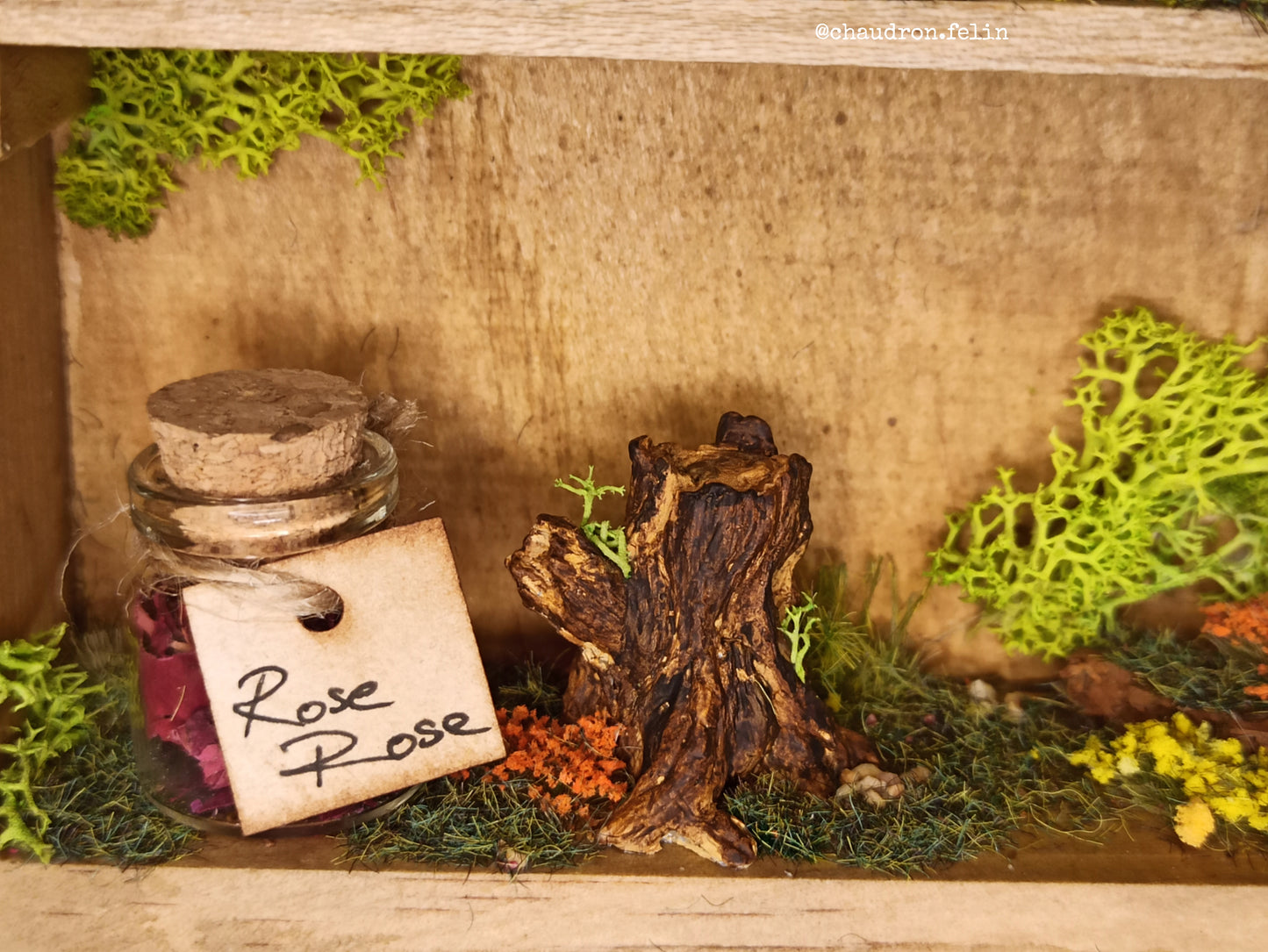Herboristerie Fantastique "Arche en Pierre et Obsidienne"
