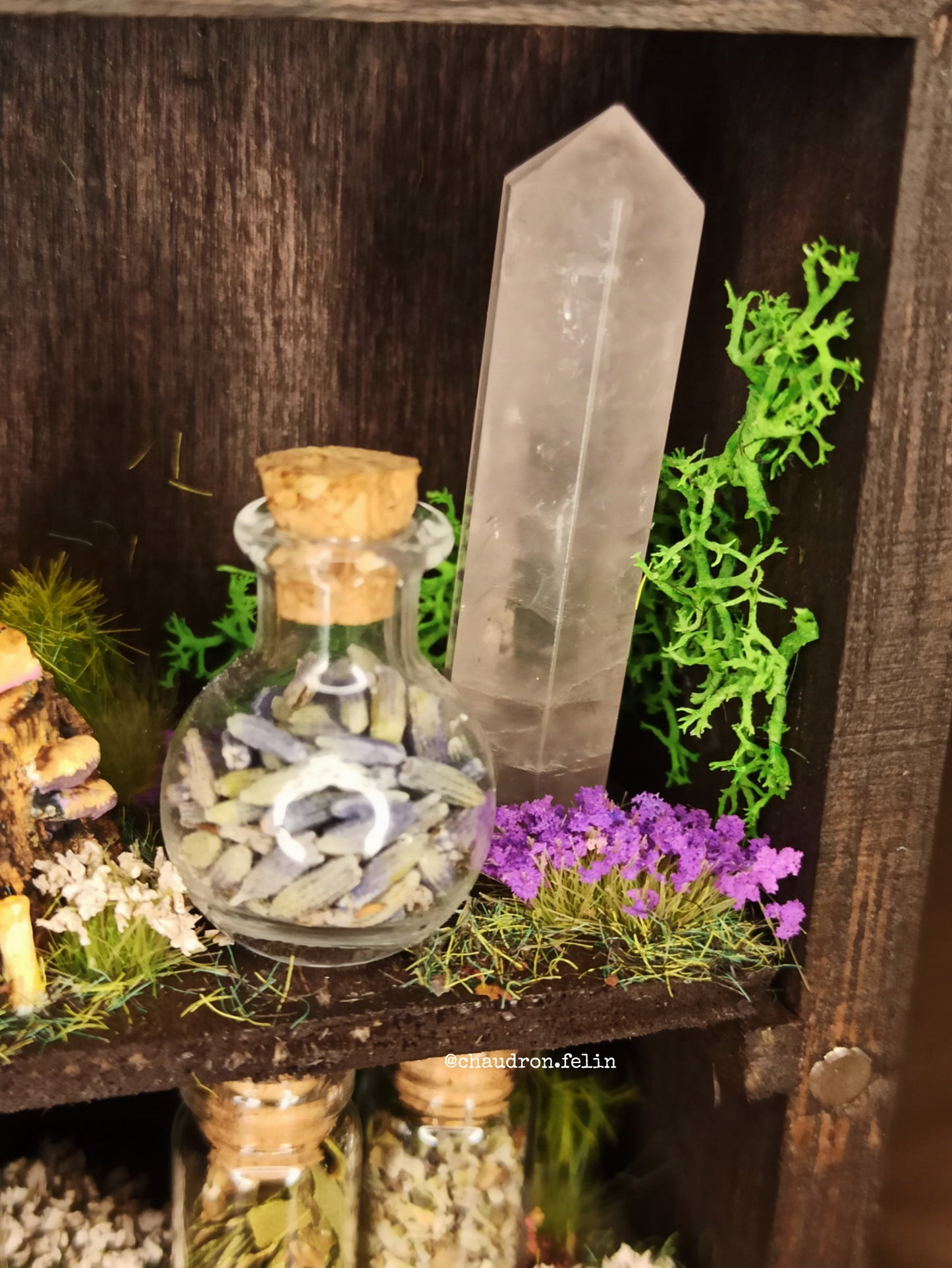Petite Herboristerie Fantastique "Romantic Witch"