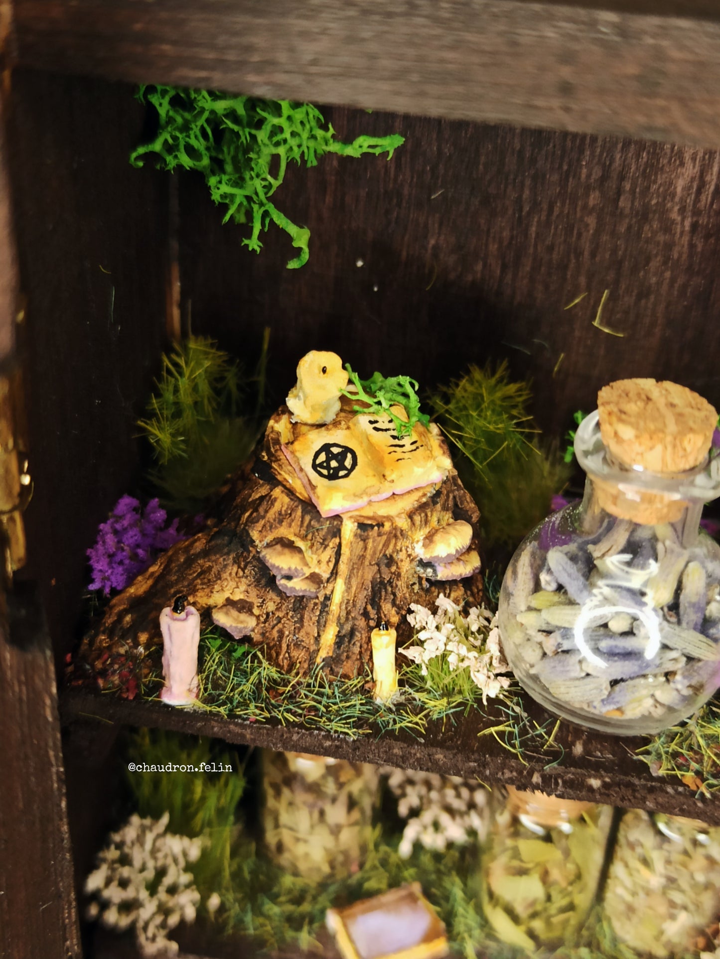 Petite Herboristerie Fantastique "Romantic Witch"