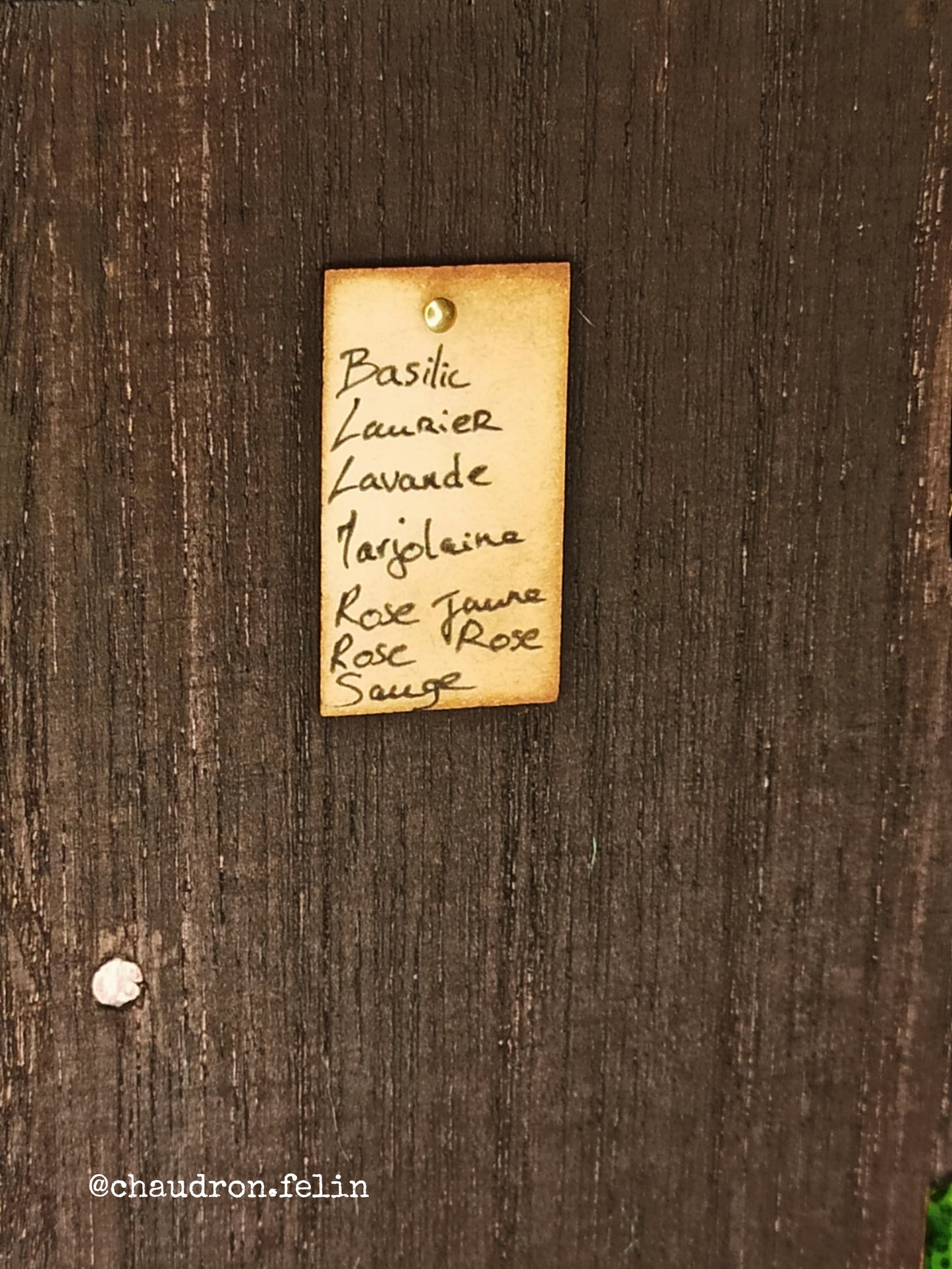 Petite Herboristerie Fantastique "Romantic Witch"